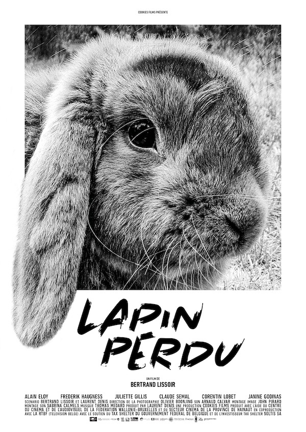 Lapin perdu Lapin perdu